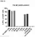 Fig. 24 - RECOMBINANT PEPTIDE-MHC COMPLEX BINDING PROTEINS AND THEIR GENERATION AND USE