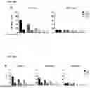 Fig. 26 - RECOMBINANT PEPTIDE-MHC COMPLEX BINDING PROTEINS AND THEIR GENERATION AND USE