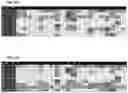Fig. 28 - RECOMBINANT PEPTIDE-MHC COMPLEX BINDING PROTEINS AND THEIR GENERATION AND USE