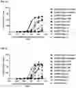Fig. 30 - RECOMBINANT PEPTIDE-MHC COMPLEX BINDING PROTEINS AND THEIR GENERATION AND USE