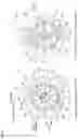 Fig. 06 - VANE PUMP DEVICE