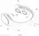 Fig. 04 - Neck fan