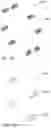 Fig. 15 - Drive transmission apparatus