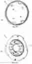 Fig. 04 - Wheel hub drive for a vehicle