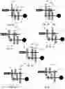 Fig. 08 - INFINITELY VARIABLE AND PSEUDO CONTINUOUSLY TRANSMISSION CAPABLE OF UNINTERRUPTED SHIFTING UTILIZING CONTROLLED ROTATION TECHNOLOGY