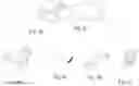 Fig. 24 - INFINITELY VARIABLE AND PSEUDO CONTINUOUSLY TRANSMISSION CAPABLE OF UNINTERRUPTED SHIFTING UTILIZING CONTROLLED ROTATION TECHNOLOGY