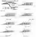 Fig. 39 - INFINITELY VARIABLE AND PSEUDO CONTINUOUSLY TRANSMISSION CAPABLE OF UNINTERRUPTED SHIFTING UTILIZING CONTROLLED ROTATION TECHNOLOGY