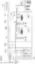 Fig. 02 - AIR CONDITIONING SYSTEM