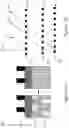 Fig. 05 - Machine Learning in Metrology Measurements