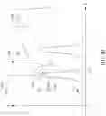 Fig. 05 - Line edge roughness analysis using atomic force microscopy