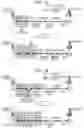 Fig. 14 - ROUTE RETRIEVAL DEVICE AND COMPUTER PROGRAM