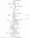 Fig. 01 - SEARCH DEVICE, SEARCH METHOD, AND STORAGE MEDIUM