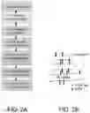Fig. 04 - METHODS FOR PREPARING LIVE CELLS FOR ANALYSIS AND DETERMINING LOCALIZATION OF MEMBRANE-BOUND PROTEINS