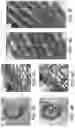 Fig. 06 - METHODS FOR PREPARING LIVE CELLS FOR ANALYSIS AND DETERMINING LOCALIZATION OF MEMBRANE-BOUND PROTEINS