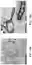 Fig. 14 - METHODS FOR PREPARING LIVE CELLS FOR ANALYSIS AND DETERMINING LOCALIZATION OF MEMBRANE-BOUND PROTEINS