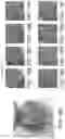 Fig. 15 - METHODS FOR PREPARING LIVE CELLS FOR ANALYSIS AND DETERMINING LOCALIZATION OF MEMBRANE-BOUND PROTEINS