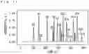 Fig. 08 - WAVEFORM PROCESSING DEVICE FOR CHROMATOGRAM AND WAVEFORM PROCESSING METHOD FOR CHROMATOGRAM