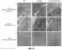 Fig. 06 - UTILIZATION OF BLOOD COMPONENT-CONTAINING SOLUTIONS FOR BIOPROSTHETIC VALVE MANUFACTURE AND TESTING