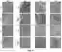 Fig. 07 - UTILIZATION OF BLOOD COMPONENT-CONTAINING SOLUTIONS FOR BIOPROSTHETIC VALVE MANUFACTURE AND TESTING