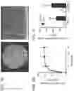 Fig. 02 - IMMUNE CELL TRAPPING DEVICES AND METHODS FOR MAKING AND USING THE SAME