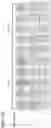 Fig. 07 - IMMUNE CELL TRAPPING DEVICES AND METHODS FOR MAKING AND USING THE SAME