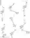 Fig. 04 - NOVEL BIOTIN-SPECIFIC MONOCLONAL ANTIBODY AND USE THEREOF