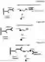 Fig. 08 - NOVEL BIOTIN-SPECIFIC MONOCLONAL ANTIBODY AND USE THEREOF