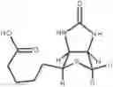 Fig. 01 - Biotin-specific monoclonal antibody and use thereof