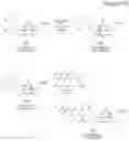 Fig. 09 - Biotin-specific monoclonal antibody and use thereof