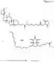 Fig. 11 - Biotin-specific monoclonal antibody and use thereof