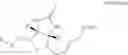 Fig. 19 - Biotin-specific monoclonal antibody and use thereof