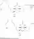 Fig. 46 - Biotin-specific monoclonal antibody and use thereof