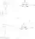 Fig. 51 - Biotin-specific monoclonal antibody and use thereof