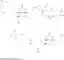 Fig. 55 - Biotin-specific monoclonal antibody and use thereof