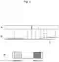Fig. 04 - IMMUNOCHROMATOGRAPHIC TEST STRIP FOR EXTRACTING AND MEASURING SUGAR CHAIN ANTIGENS, CAPABLE OF CONTROLLING THE DEVELOPMENT OF SPECIMEN BY IMPREGNATING HYDROPHILIC MATERIAL WITH NITRITE OR SOLID ACID REAGENT