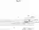 Fig. 06 - IMMUNOCHROMATOGRAPHIC TEST STRIP FOR EXTRACTING AND MEASURING SUGAR CHAIN ANTIGENS, CAPABLE OF CONTROLLING THE DEVELOPMENT OF SPECIMEN BY IMPREGNATING HYDROPHILIC MATERIAL WITH NITRITE OR SOLID ACID REAGENT