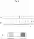 Fig. 03 - IMMUNOCHROMATOGRAPHIC TEST KIT FOR EXTRACTING AND MEASURING SUGAR CHAIN ANTIGENS, CAPABLE OF CONTROLLING ANALYTE DEVELOPMENT