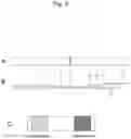 Fig. 04 - IMMUNOCHROMATOGRAPHIC TEST KIT FOR EXTRACTING AND MEASURING SUGAR CHAIN ANTIGENS, CAPABLE OF CONTROLLING ANALYTE DEVELOPMENT