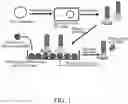 Fig. 02 - COMPOSITIONS AND METHODS FOR DIAGNOSING AND TREATING CORONAVIRUS DISEASE 2019