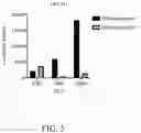 Fig. 06 - COMPOSITIONS AND METHODS FOR DIAGNOSING AND TREATING CORONAVIRUS DISEASE 2019