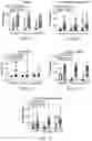 Fig. 08 - Assaying Bladder-Associated Samples, Identifying and Treating Bladder-Associated Neoplasia, and Kits for Use Therein