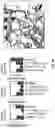 Fig. 19 - Methods for characterizing and engineering protein-protein interactions