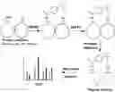 Fig. 01 - MULTI-TARGET CROSSLINKERS AND USES THEREOF