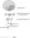 Fig. 02 - METHODS OF TREATING LIVER DISEASES
