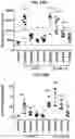 Fig. 40 - METHODS OF TREATING LIVER DISEASES