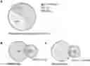 Fig. 01 - METHODS OF DETECTING AND DIAGNOSING DEFECTS OF THE LYMPHATIC VASCULATURE