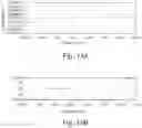 Fig. 10 - Torsion wing probe assembly
