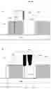 Fig. 11 - Method and apparatus for examining a measuring tip of a scanning probe microscope