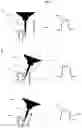 Fig. 14 - Method and apparatus for examining a measuring tip of a scanning probe microscope