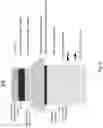 Fig. 07 - Thermal solution for massively parallel testing